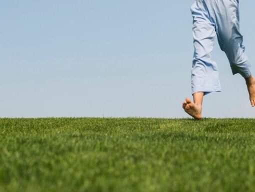 Bodrum Hazır Rulo Çim