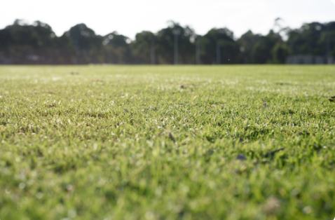 Rulo Çim Bakım Takvimi