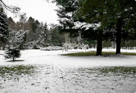Kışın Rulo Çim Döşenir mi?