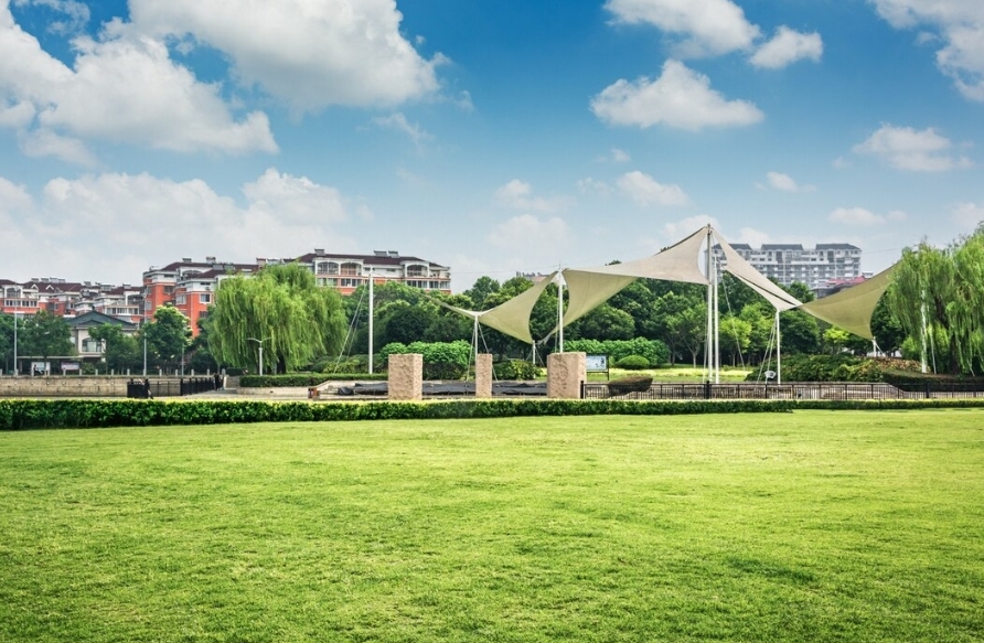 Site İçin Rulo Çim