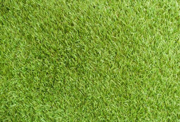 Toprak Sıkışmasını Önlemek İçin Yapmanız Gerekenler