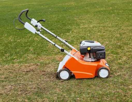 Kışın Rulo Çim Biçme