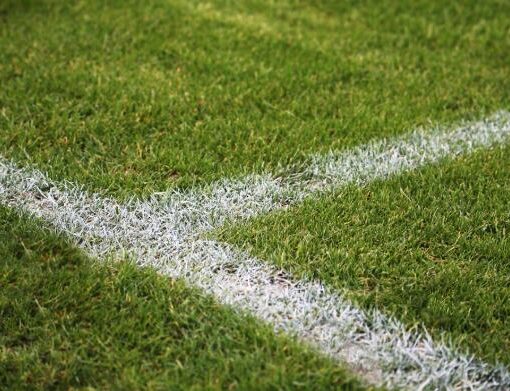 Futbol Sahası Çimi