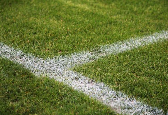 Futbol Sahası Çimi